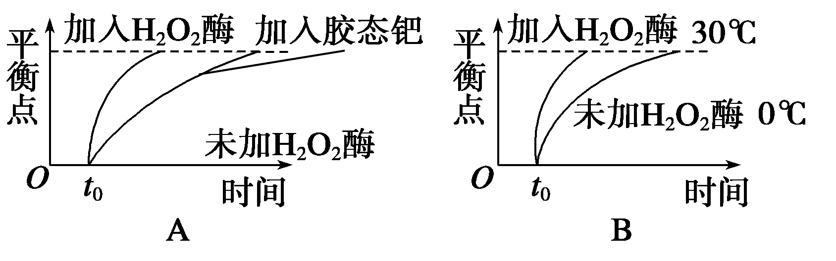 酶高效性曲线解读